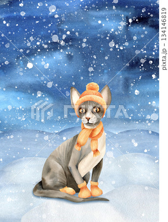 Sphynx cat in warm clothes against backdrop of winter landscape on snowdrift. Hairless kitty in knitted hat, scarf. Cute animal and snow. Watercolor isolated illustration. Hand drawn card, postcard Sphynx cat in warm clothes against backdrop of winter landscape on snowdrift. Hairless kitty in knitted hat, scarf. Cute animal and snow. Watercolor isolated illustration. Hand drawn card, postcard 134146819