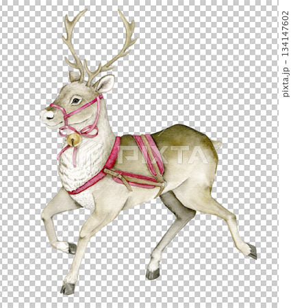 Christmas watercolor reindeer with a golden bell, red harness. For holiday cards, New Year invitations, winter decorations, festive prints, Santa sleigh clipart, crafts, postcards or scrapbooking. 134147602
