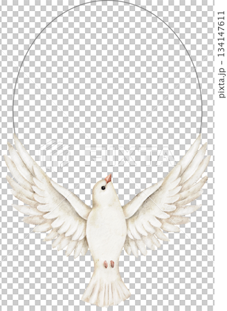 White dove with open wings oval wreath, watercolor style, symbolizing peace, spirituality, and hope. Perfect for wedding invitation, sympathy card, memorial template, or religious celebration design. 134147611