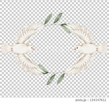Two white doves facing each other wreath with olive leaves, watercolor artwork for memorial templates, wedding invitation, remembrance cards, spiritual greeting, or peace-themed design projects. 134147612