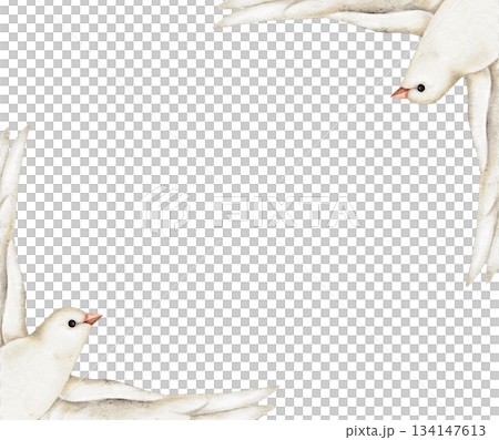 Frame with white doves with open wings, watercolor pastel card border for sympathy templates, spiritual messages, peace announcements, memorial invitations, or gentle memorial design. Frame with white doves with open wings, watercolor pastel card border for sympathy templates, spiritual messages, peace announcements, memorial invitations, or gentle memorial design. 134147613