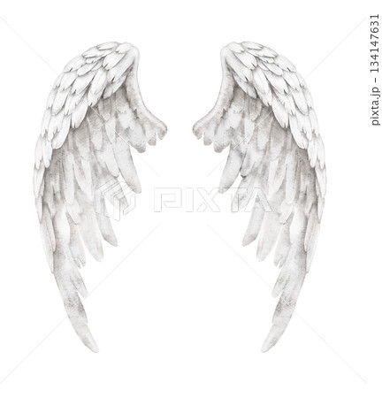 Watercolor illustration of open angel wings, white feathers, suitable for spiritual or religious projects, memorial card, decoration, religious symbols, fantasy art, or inspirational layout. Watercolor illustration of open angel wings, white feathers, suitable for spiritual or religious projects, memorial card, decoration, religious symbols, fantasy art, or inspirational layout. 134147631