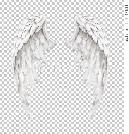 Watercolor illustration of open angel wings, white feathers, suitable for spiritual or religious projects, memorial card, decoration, religious symbols, fantasy art, or inspirational layout. Watercolor illustration of open angel wings, white feathers, suitable for spiritual or religious projects, memorial card, decoration, religious symbols, fantasy art, or inspirational layout. 134147631