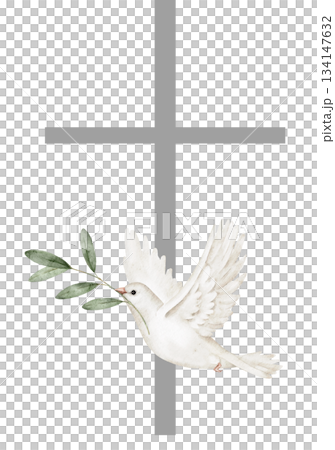 Watercolor illustration of a grey cross and white dove in flight, holding olive branch, symbolism of peace and faith, perfect for memorial, religious events, spirituality, or commemoration projects. 134147632