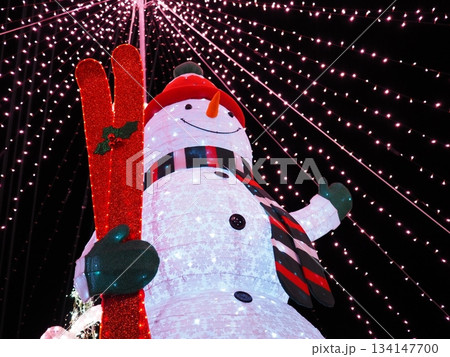 雪だるま 134147700