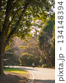秋の公園の散歩 134148394