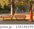 木漏れ日のレトロポスト 134148399