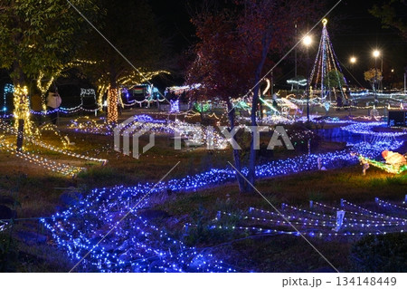 青淵公園のイルミネーション 青淵公園のイルミネーション 134148449