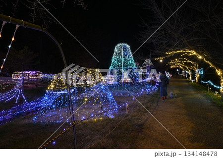 青淵公園のイルミネーション 134148478