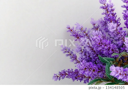 Lavender flowers bouquet composition in the corner against white background, spring background layout, copy space. 134148505