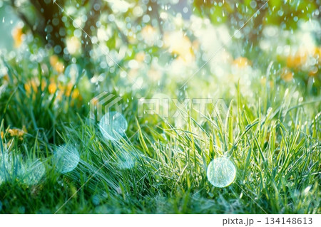 Ethereal Spring background with lens flare and bokeh over lush green grass Ethereal Spring background with lens flare and bokeh over lush green grass 134148613