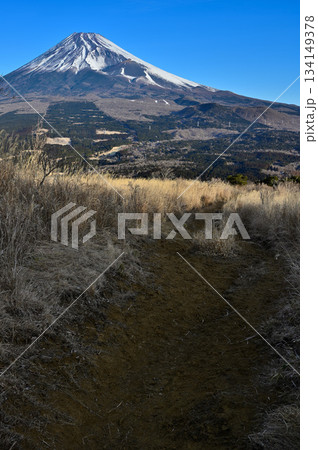 愛鷹山塊の越前岳 カヤトの登山道から望む富士山 愛鷹山塊の越前岳 カヤトの登山道から望む富士山 134149378
