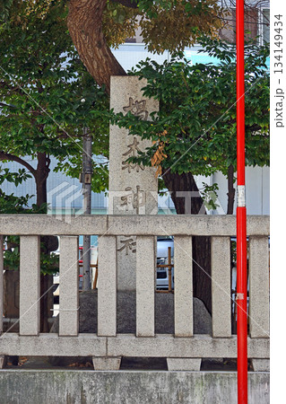 椙森神社(中央) 椙森神社(中央) 134149434
