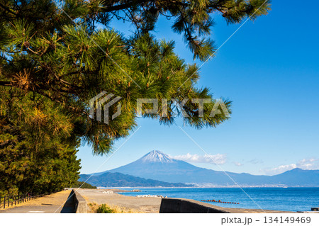朝の三保海岸から三保の松原と富士山 134149469