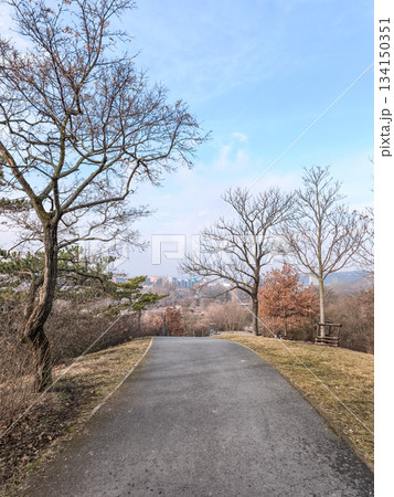 Winding path leading to prague skyline on a crisp winter day in palmovka Liben district Thomayer Gardens 134150351