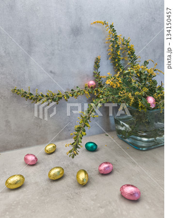 Chocolate easter eggs and mimosa flowers celebrating spring festivities in prague copy space gray background 134150457