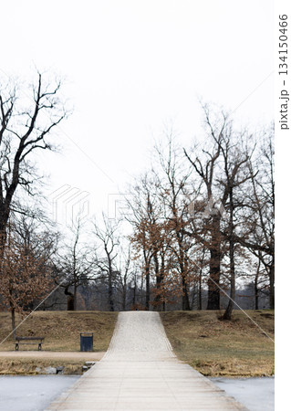 Empty footpath leading towards hill in stromovka park, prague, in winter 134150466
