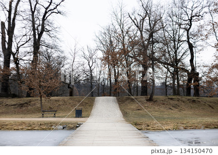 Wooden footbridge leading to stromovka park in prague during winter 134150470