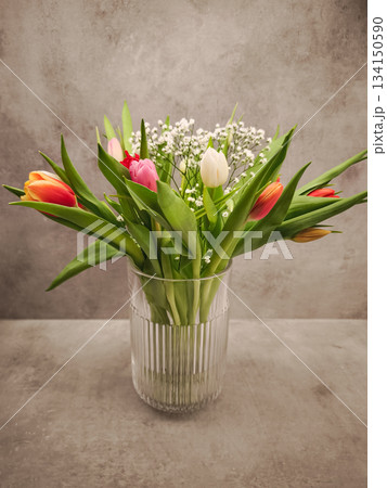 Vibrant bouquet of tulips and baby's breath in a glass vase, adding a touch of romance to for valentine's mother's day 134150590