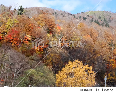 カラフルな山の風景 カラフルな山の風景 134150672