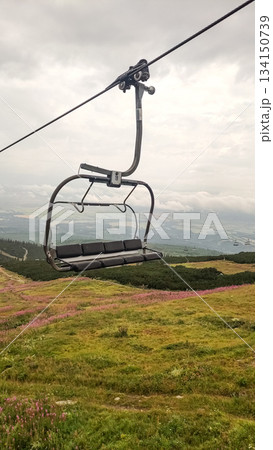 Chairlift ascending over blooming mountain meadow in the high tatras, slovakia 134150739