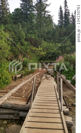 Wooden hiking bridge over stream in high tatras mountains, slovakia Wooden hiking bridge over stream in high tatras mountains, slovakia 134150761