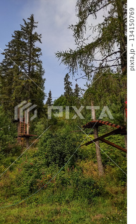 Rope park nestled in the lush forests of strbske pleso, high tatras, slovakia 134150769