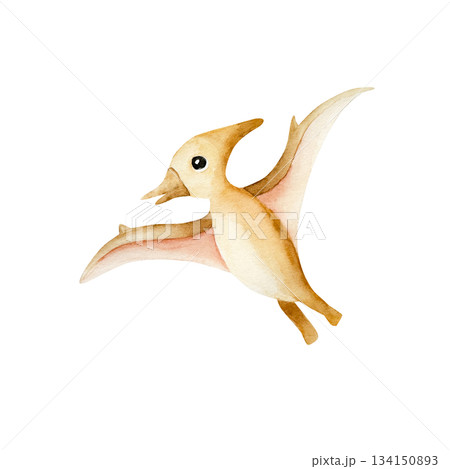 Cute dinosaur. Watercolor hand drawn prehistoric pterodactyl animal. Isolated illustration on transparent background. Perfect for for nursery and baby shower, tropical design projects. For designers 134150893