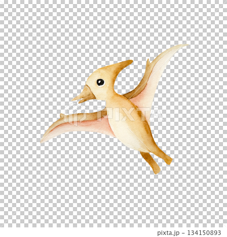 Cute dinosaur. Watercolor hand drawn prehistoric pterodactyl animal. Isolated illustration on transparent background. Perfect for for nursery and baby shower, tropical design projects. For designers 134150893