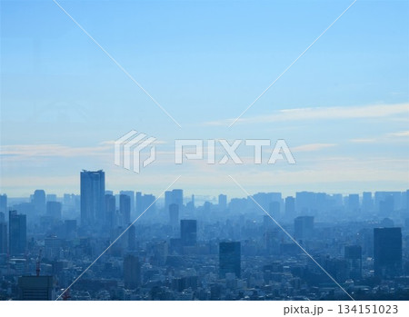 新宿の都市風景 新宿の都市風景 134151023