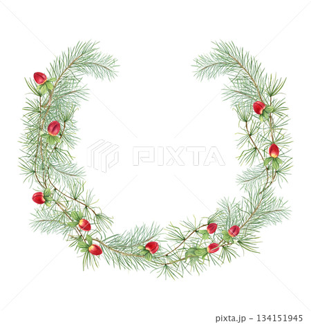 Watercolor green pine branches with red hypericum berries wreath on isolated background. Xmas illustration with evergreen branch for holiday greeting card, festive packaging label. Copy space for text Watercolor green pine branches with red hypericum berries wreath on isolated background. Xmas illustration with evergreen branch for holiday greeting card, festive packaging label. Copy space for text 134151945