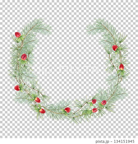 Watercolor green pine branches with red hypericum berries wreath on isolated background. Xmas illustration with evergreen branch for holiday greeting card, festive packaging label. Copy space for text Watercolor green pine branches with red hypericum berries wreath on isolated background. Xmas illustration with evergreen branch for holiday greeting card, festive packaging label. Copy space for text 134151945