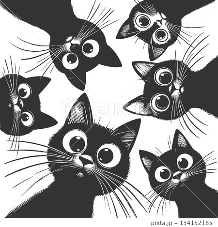 Cute Black Cats Looking Down vector illustration Cute Black Cats Looking Down vector illustration 134152185