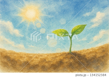 命の息吹　生命　発芽　誕生イメージ　水彩画 134152384