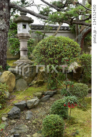 京都　法住寺の庭園 134152450