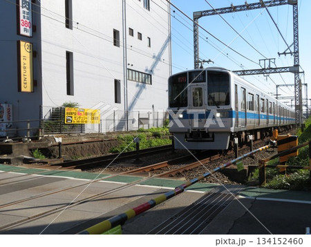 電車 小田急線 134152460