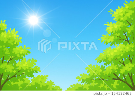 青空 新緑 太陽光線 ベクター 青空 新緑 太陽光線 ベクター 134152465