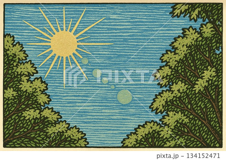 青空　新緑　太陽光線　木版画調 134152471