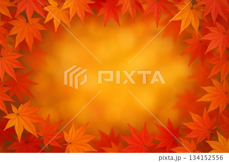 フレーム素材　紅葉　もみじ　秋　フォトリアル 134152556