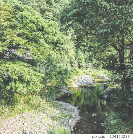 高尾山麓を流れる清流と自然の風景。 高尾山麓を流れる清流と自然の風景。 134153258