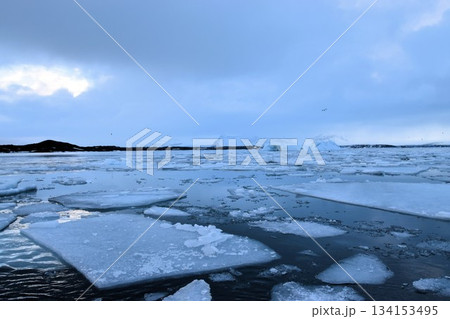 アイスランド・ヨークルスアゥルロゥン氷河湖・青い氷山と曇り空の絶景 134153495