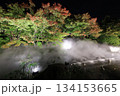 紅葉のライトアップ 134153665