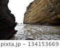 種子島・千座岩屋の海蝕洞・波に削られた迫力ある断崖と海 134153669