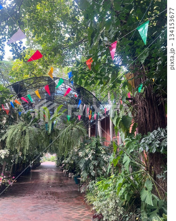 庭 庭園 ガーデン 134153677