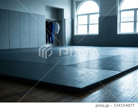 A training room for Brazilian Jiu Jitsu shows thick mats in gray color. Textile wall panels surround the space. Bright light enters through large windows. 134154077