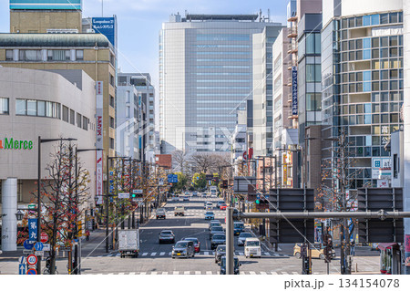 高崎駅から高崎市役所へ続くシンフォニーロード【群馬県高崎市】 134154078