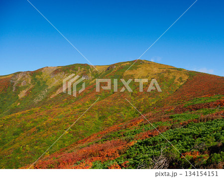 【宮城県】秋の栗駒山_01 134154151