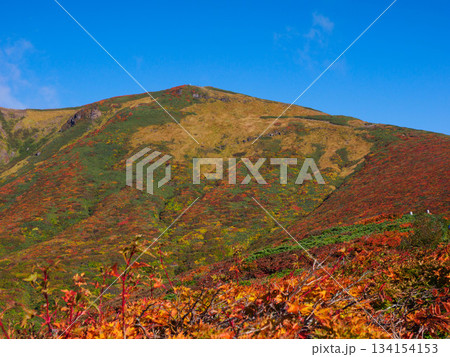 【宮城県】秋の栗駒山_03 【宮城県】秋の栗駒山_03 134154153