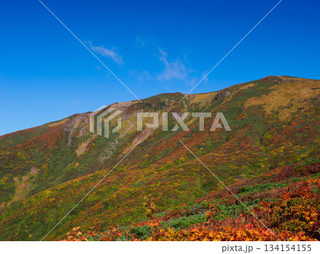 【宮城県】秋の栗駒山_05 【宮城県】秋の栗駒山_05 134154155