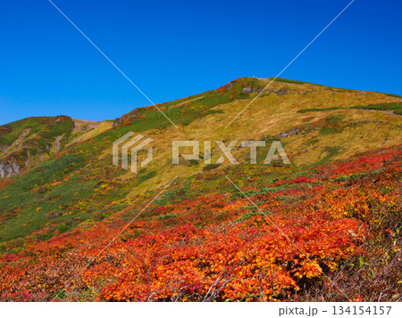 【宮城県】秋の栗駒山_07 【宮城県】秋の栗駒山_07 134154157